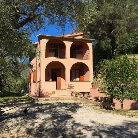 Villa Argentella House Palombara Sabina Exterior foto